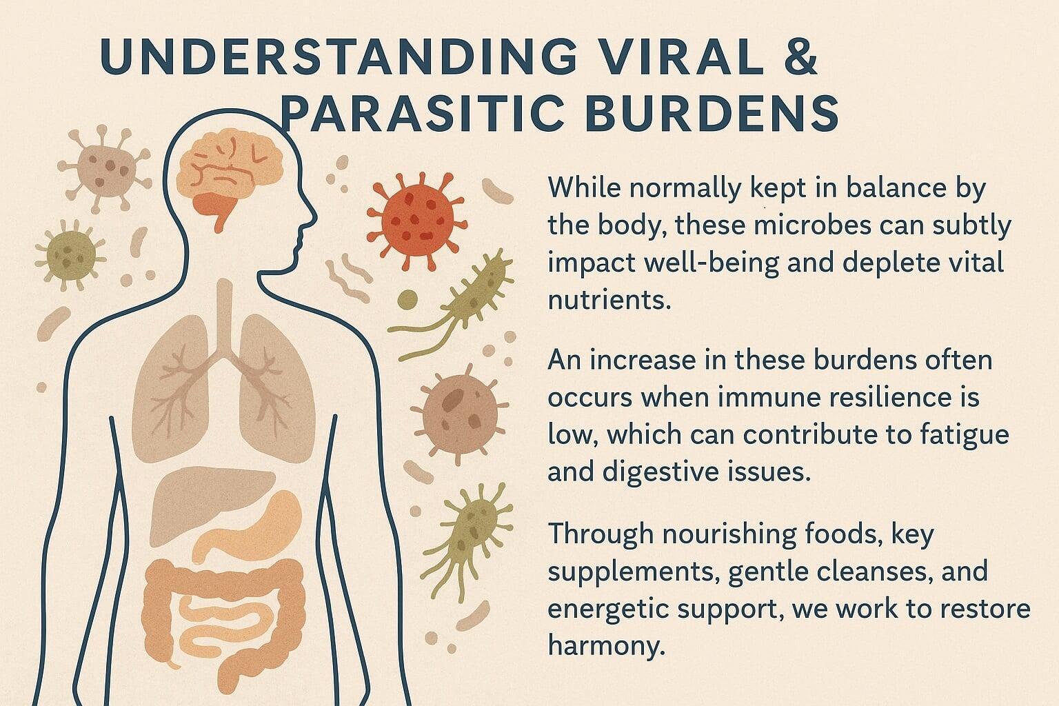 Understanding Viral & Parasitic Energetic Burdens